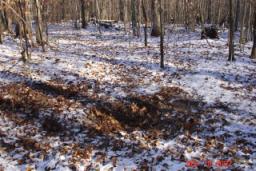 DEER CAMP 2007 049.jpg